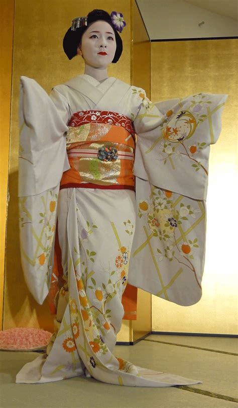 12 Things You Didn’t Know About Geisha .